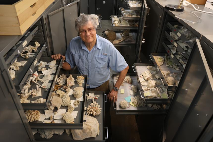 Dr. Porter at the GMNH Annex with the corals collection.