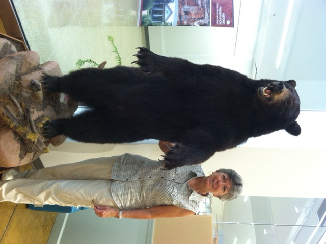 Dorinda Dallmeyer and the GMNH's beloved black bear, which is on view in the gallery.