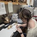 Larissa McPherson cataloging a specimen